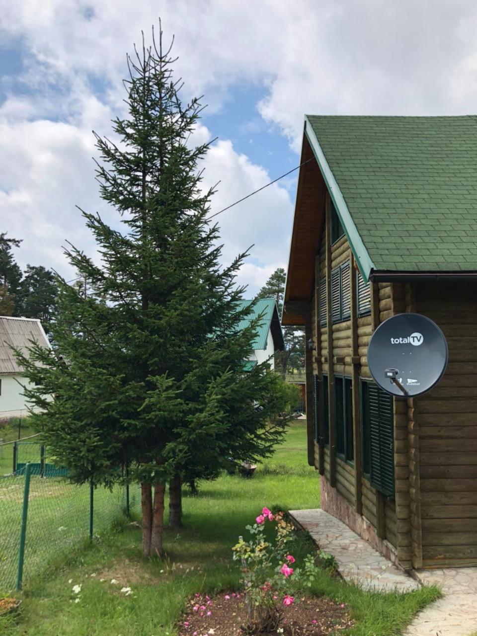 Kuca U Borju - House In Pines Apartment Zabljak  Exterior photo