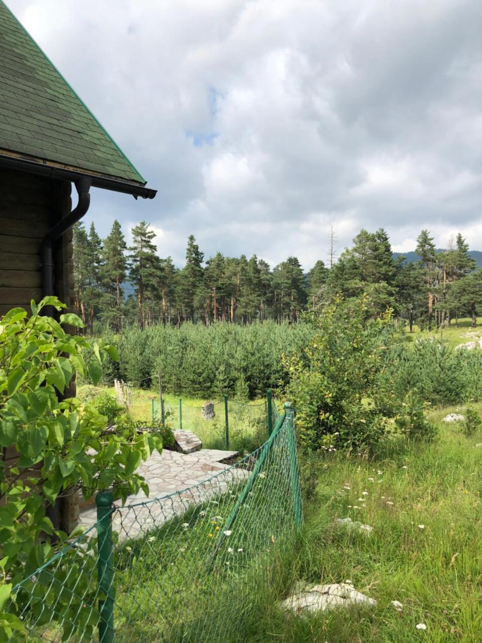 Kuca U Borju - House In Pines Apartment Zabljak  Exterior photo