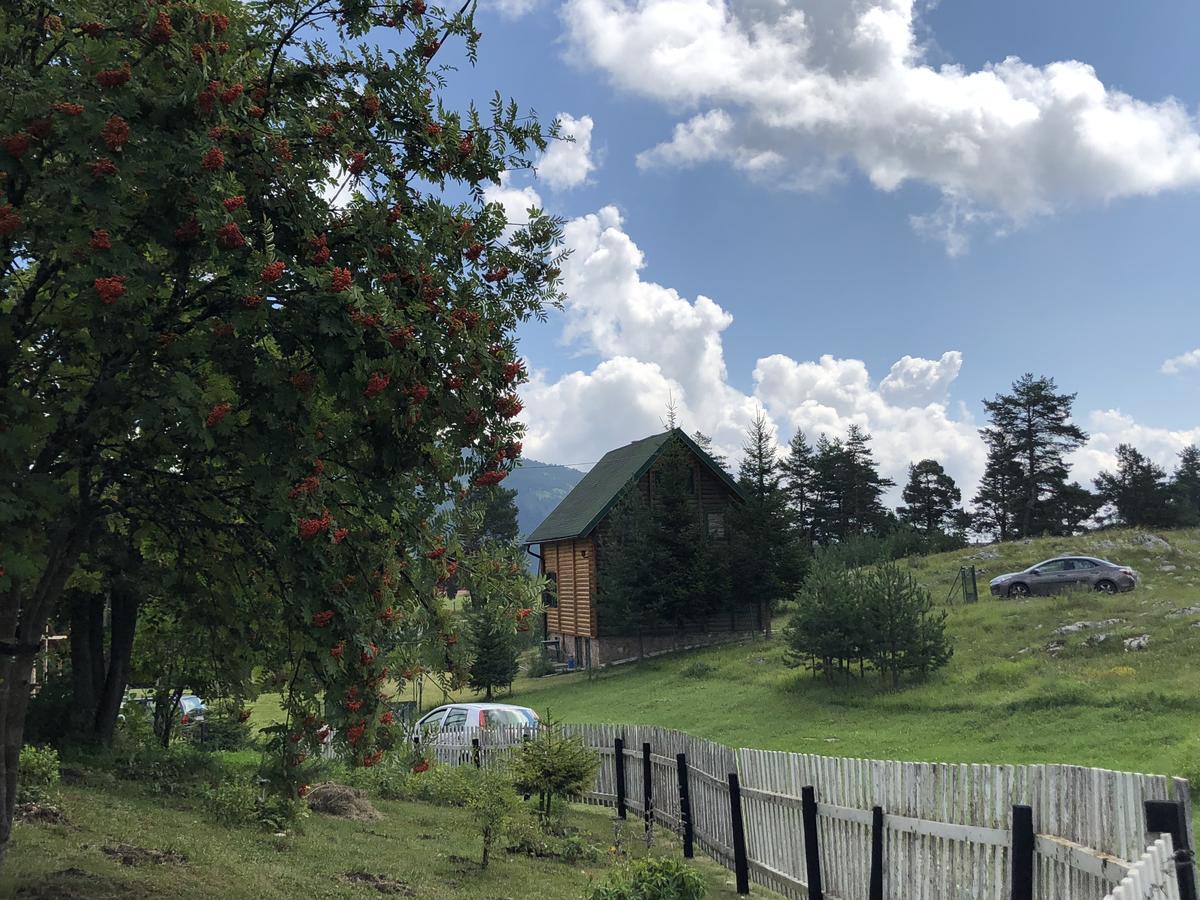 Kuca U Borju - House In Pines Apartment Zabljak  Exterior photo
